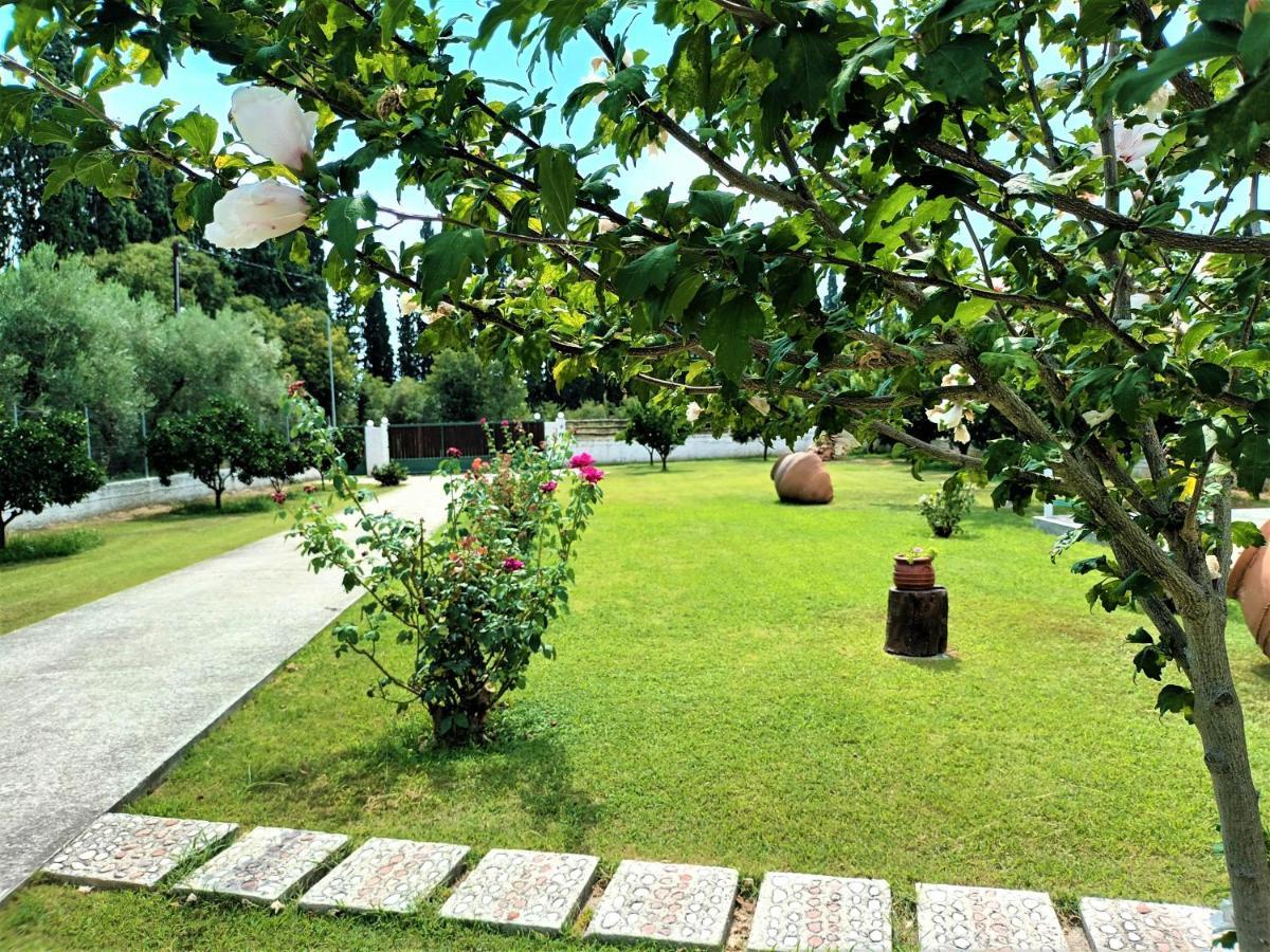 הוילה Platanidia Zenia Pelion Garden House מראה חיצוני תמונה