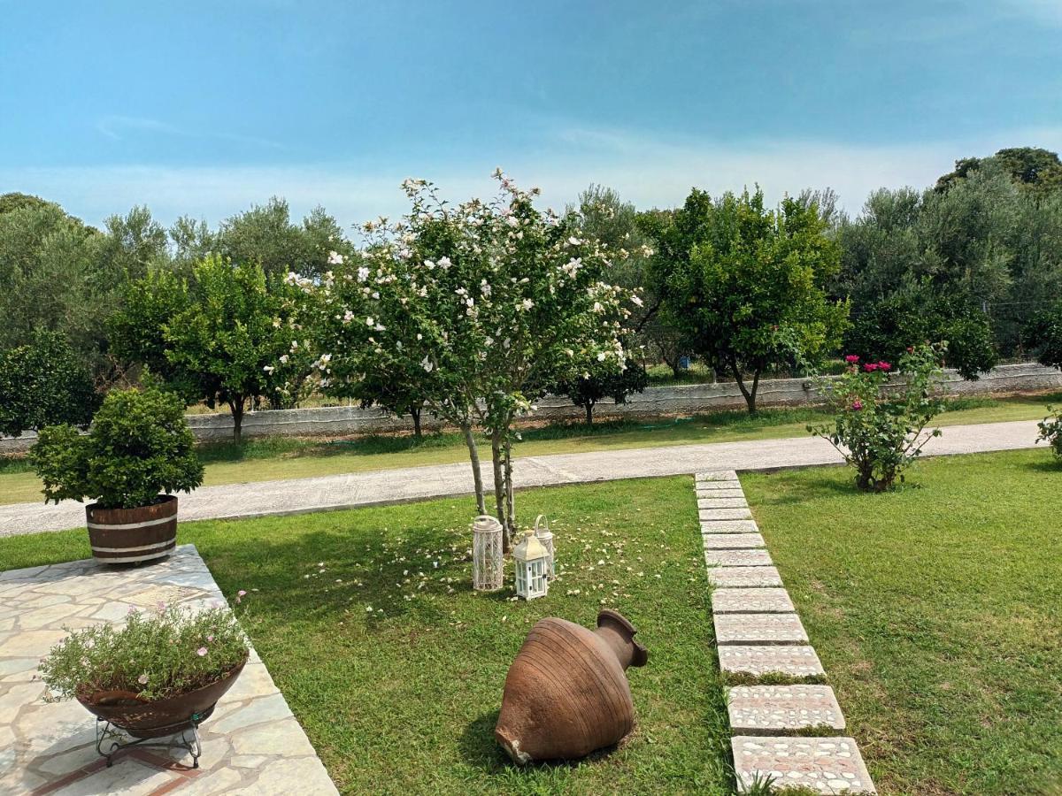 הוילה Platanidia Zenia Pelion Garden House מראה חיצוני תמונה